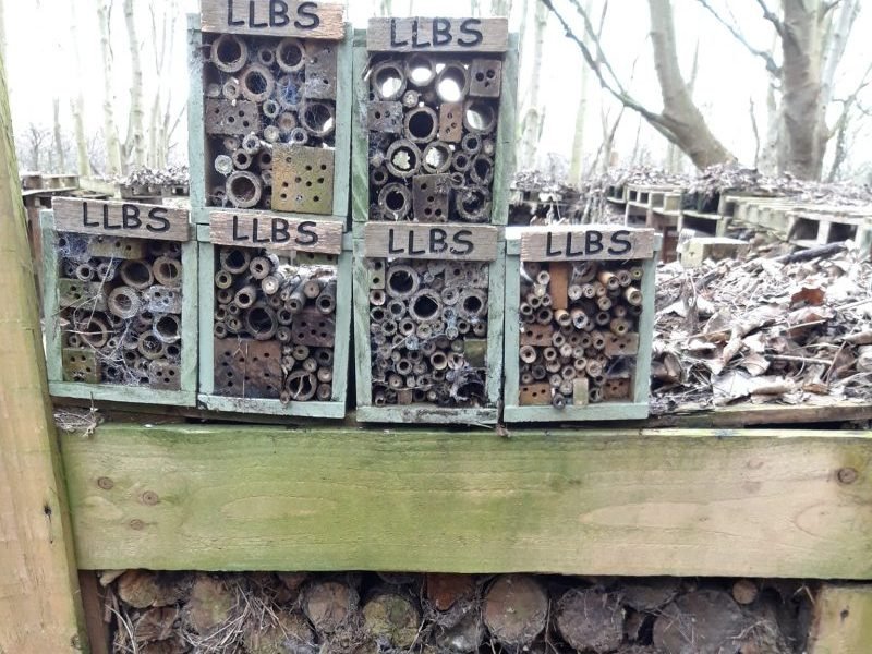 Ecocentre-bughotel