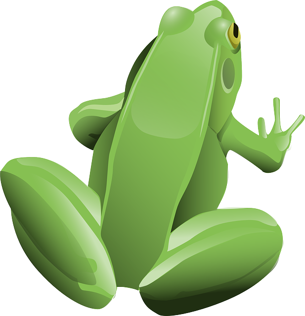 ecocentre- Skegness- frog