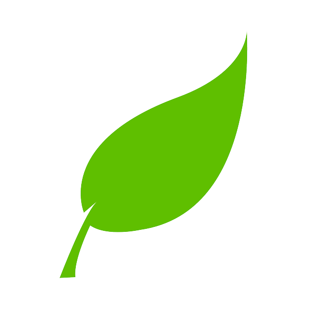 ecocentre-skegness-leaf